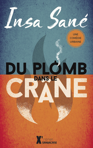 DU PLOMB DANS LE CRANE
