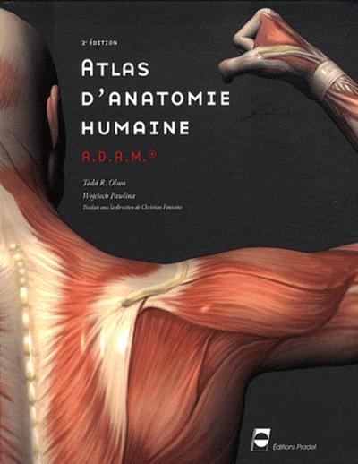 ATLAS D ANATOMIE HUMAINE ADAM 2E ED