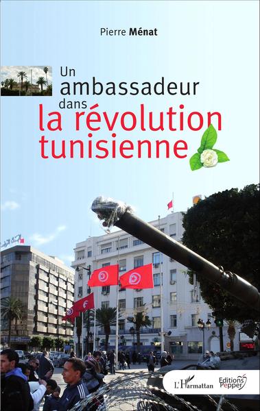 AMBASSADEUR DANS LA REVOLUTION TUNISIENNE