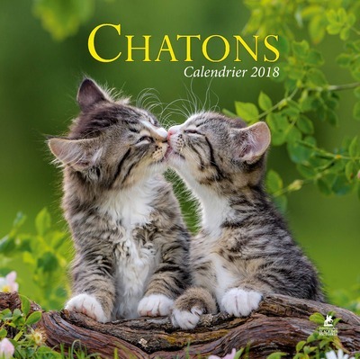 CHATONS, CALENDRIER 2018