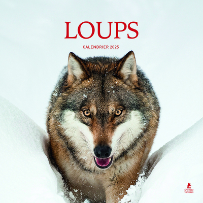 CALENDRIER LOUPS 2025