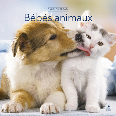 CALENDRIER BEBES ANIMAUX 2026