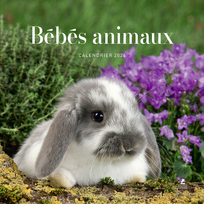 CALENDRIER BEBES ANIMAUX 2024