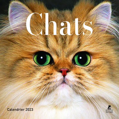 CHATS - CALENDRIER 2023