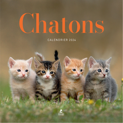 CALENDRIER CHATONS 2024