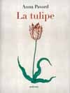 TULIPE