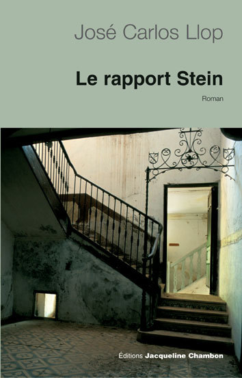 RAPPORT STEIN