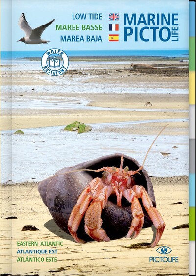 PICTOLIFE MAREE BASSE - ATLANTIQUE EST