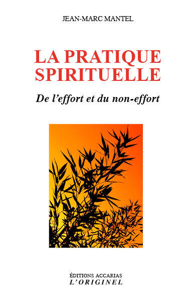 PRATIQUE SPIRITUELLE - DE L´EFFORT ET DU NON-EFFORT