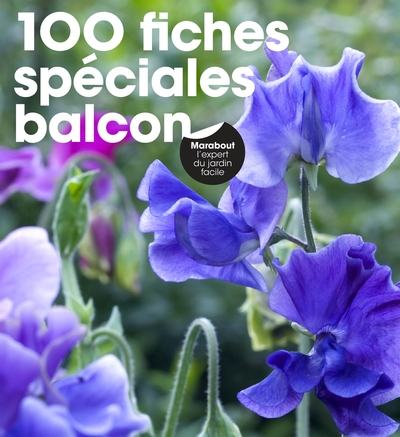 100 FICHES SPECIALES BALCON