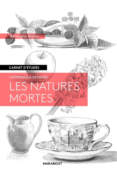 CARNET D´ETUDES - LES NATURES MORTES