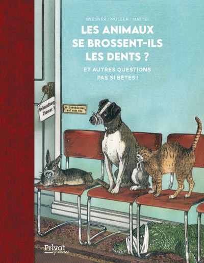 ANIMAUX SE BROSSENT-ILS LES DENTS ? - ET AUTRES QUESTIONS PAS SI BETES