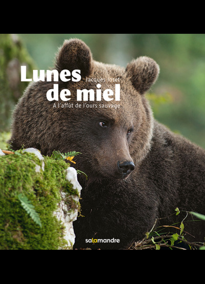 LUNES DE MIEL. A L´AFFUT DE L´OURS SAUVAGE