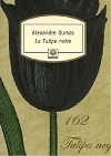 TULIPE NOIRE N261