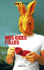 MES IDEES FOLLES