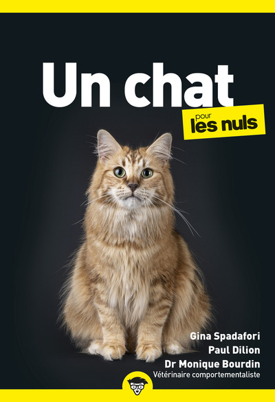 UN CHAT POUR LES NULS