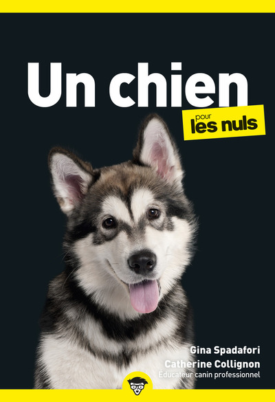 UN CHIEN POUR LES NULS