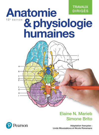 ANATOMIE ET PHYSIOLOGIE HUMAINES 12E ED TRAVAUX DIRIGES