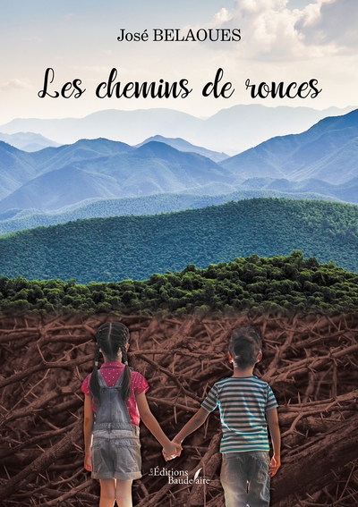 CHEMINS DE RONCES