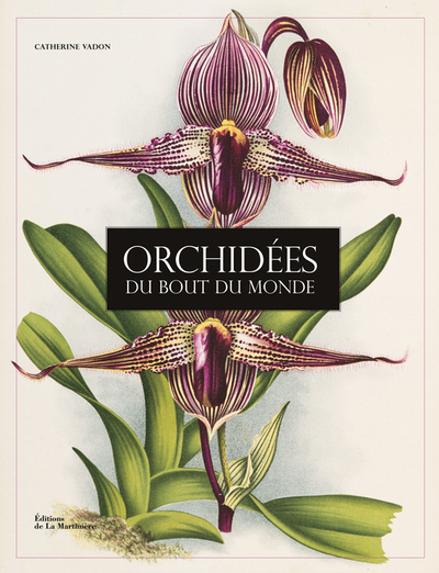 ORCHIDEES DU BOUT DU MONDE