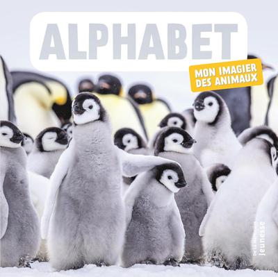 ALPHABET - MON IMAGIER DES ANIMAUX