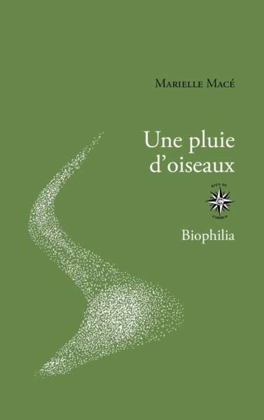 PLUIE D´OISEAUX - ILLUSTRATIONS, NOIR ET BLANC