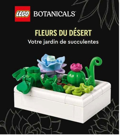 LEGO BOTANICALS, FLEURS DU DESERT - VOTRE JARDIN DE SUCCULENTES