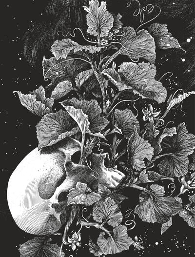 AIRE LIBRE - LA TETE DE MORT VENUE DE SUEDE