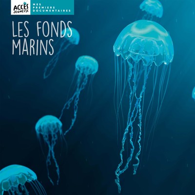 FONDS MARINS