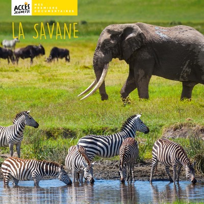 SAVANE
