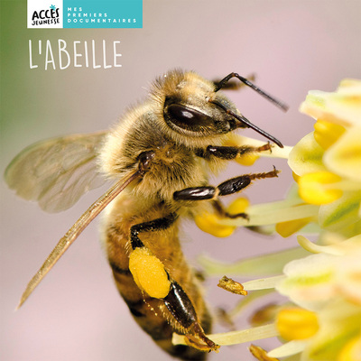L´ABEILLE