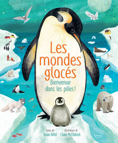 MONDES GLACES