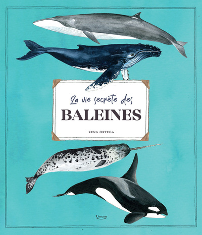 VIE SECRETE DES BALEINES