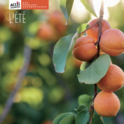 L´ETE