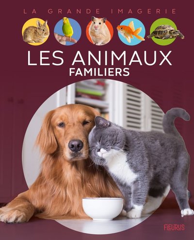 ANIMAUX FAMILIERS - GRANDE IMAGERIE