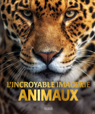 L´INCROYABLE IMAGERIE ANIMAUX