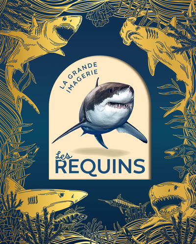 LES REQUINS