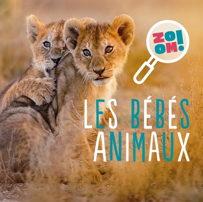 BEBES ANIMAUX