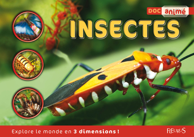 INSECTES - DOC ANIME