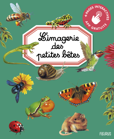 IMAGERIE DES PETITES BETES