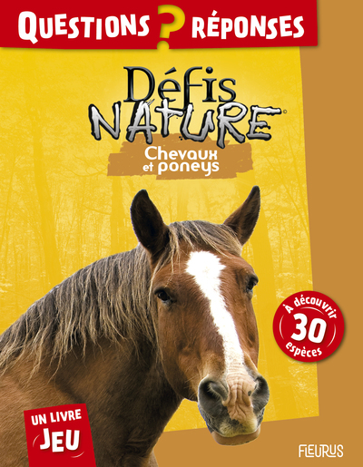 CHEVAUX ET PONEYS