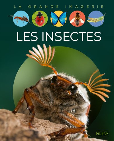 INSECTES - GRANDE IMAGERIE