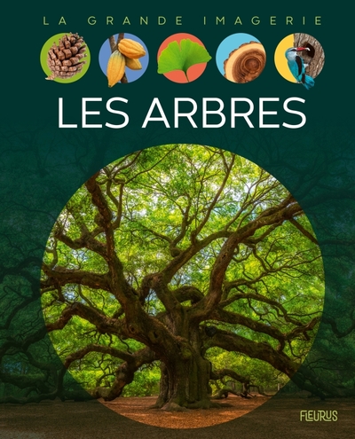ARBRES - GRANDE IMAGERIE