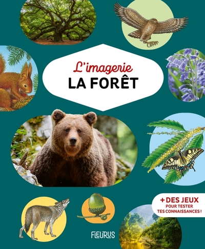 IMAGERIE - LA FORET