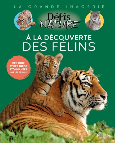 A LA DECOUVERTE DES FELINS