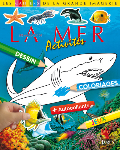 ANIMAUX DE LA MER- ACTIVITES