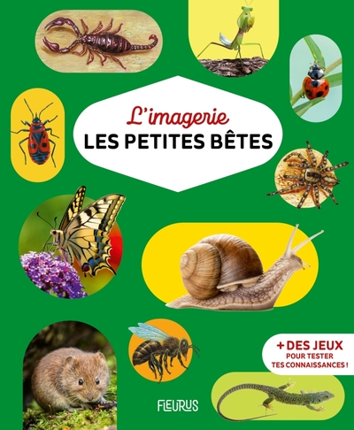 IMAGERIE - LES PETITES BETES