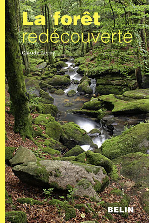 FORET REDECOUVERTE