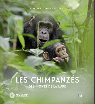 CHIMPANZES DES MONTS DE LA LUNE