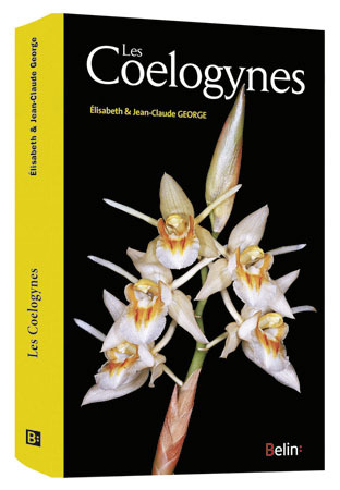 COELOGYNES